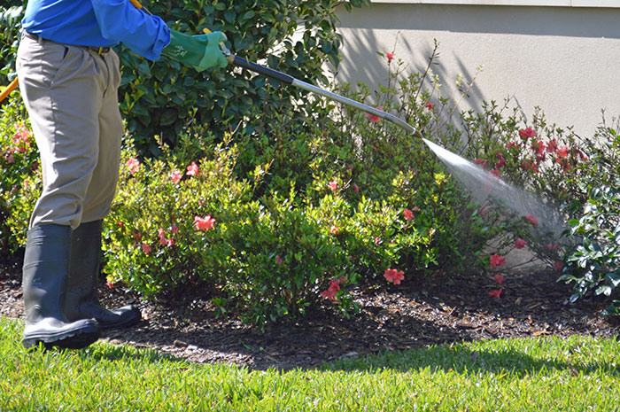 Pest Control Company Montgomery County MD - Fall Weather Pests